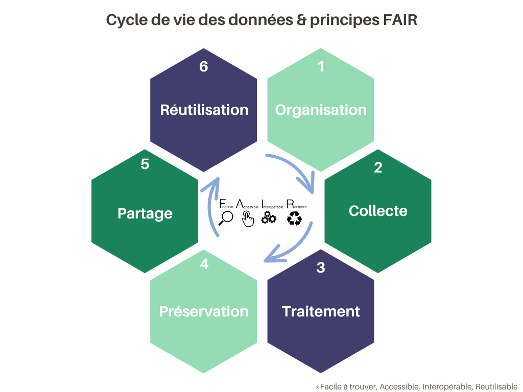 Cycle de vie de la données et principes FAIR