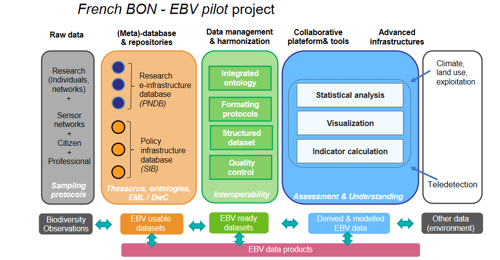 EBV Data Portal